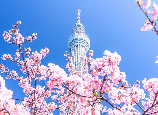 東京スカイツリー